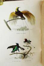 Buffon - Histoire naturelle des oiseaux - 1862