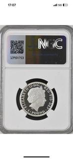 Verenigd Koninkrijk. Elizabeth II. 1 Pound 2010 NGC PF70