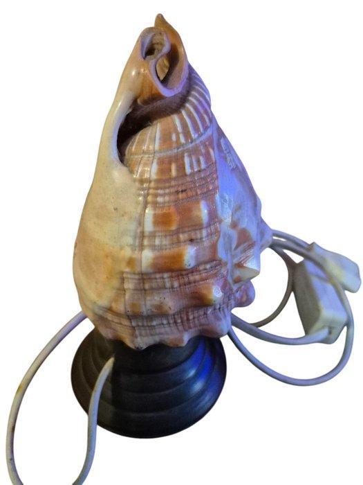 Lamp - Schelp, Antiek en Kunst, Curiosa en Brocante