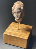 Oud-Grieks, Hellenistisch Terracotta Indrukwekkend hoofd van