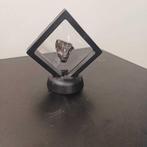 Prachtige Campo Del Cielo ijzer meteoriet - in display -