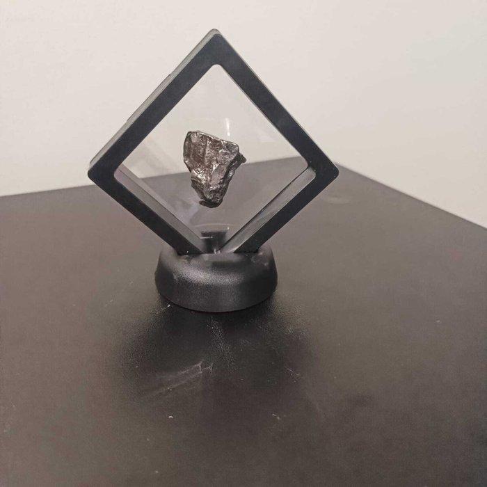 Prachtige Campo Del Cielo ijzer meteoriet - in display -, Verzamelen, Mineralen en Fossielen