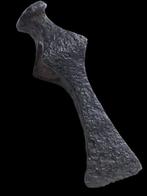 Scythisch Scythische slagbijl (SAGARIS). In excellente