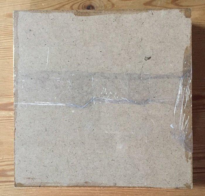 Uropygi, motten, kevers, langoorkevers (enz.) Taxidermie, Antiek en Kunst, Curiosa en Brocante