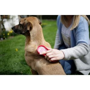 Magicbrush dog wildrose - kerbl, Animaux & Accessoires, Accessoires pour chiens