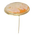 Broche - 18 karaat Geel goud, schelp