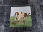 Pink Floyd - Atom Heart Mother - Wish You Were Here - 2, Nieuw in verpakking