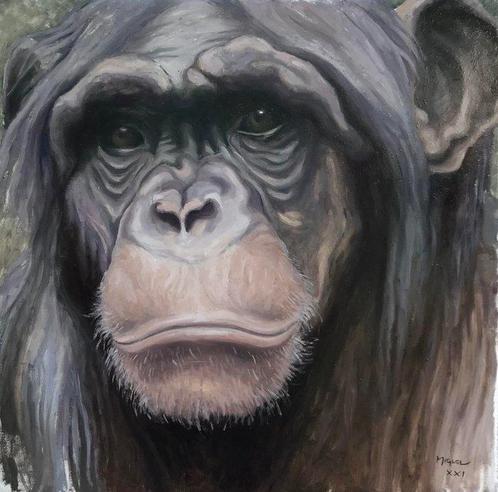 Anthony Miguel - Portrait dun chimpanze adulte, Antiek en Kunst, Kunst | Schilderijen | Modern