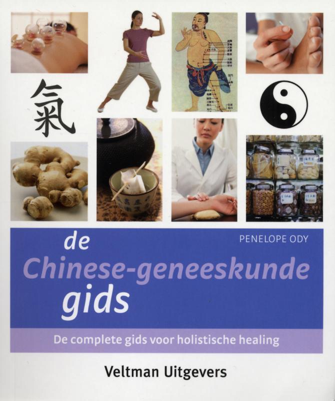 De Chinese-geneeskundegids 9789048303632 P. Ody, Boeken, Esoterie en Spiritualiteit, Gelezen, Verzenden