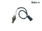 Lambda Sonde Ducati Monster 1100 2008-2010, Verzenden, Gebruikt