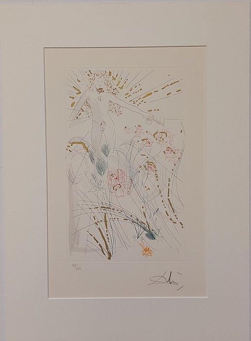 Salvador Dali (1904-1989) - Der Geliebte weidet zwischen den, Antiquités & Art, Antiquités | Autres Antiquités