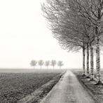 Wiepke Folkerts - Silence