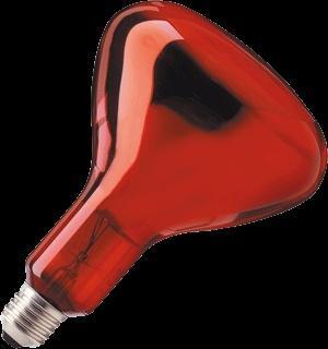 Ampoule infrarouge Philips avec réflecteur - 57521025, Bricolage & Construction, Éclairage de chantier, Envoi