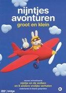 Nijntjes avonturen - Groot en klein deel 2 op DVD, CD & DVD, DVD | Films d'animation & Dessins animés, Envoi