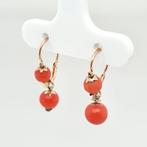 Sans prix de réserve - Boucles doreilles - 14 carats Or