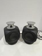 Bang & Olufsen - BeoLab 3 ICE Luidsprekerset