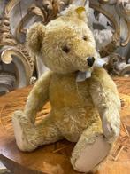 Steiff: Teddybeer US ZONE 1950, met extra label - Ours en