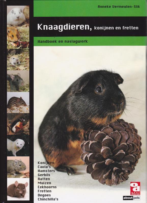 Knaagdieren, konijnen en fretten / Over Dieren 9789058216069, Boeken, Hobby en Vrije tijd, Zo goed als nieuw, Verzenden