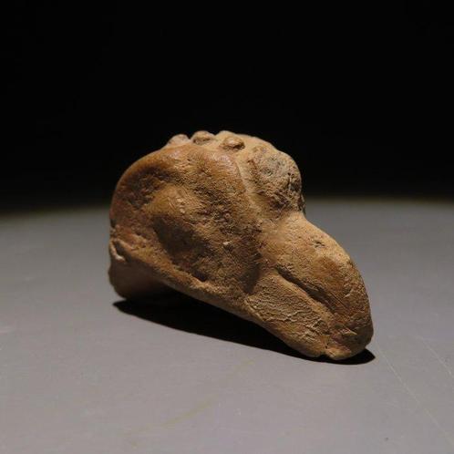 Teotihuacán, Mexico Terracotta Eagle Head Figure. 100-600 na, Verzamelen, Mineralen en Fossielen