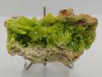 Très beau cristal Pyromorphite- 85 g