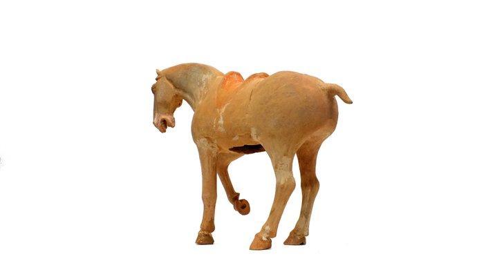 Oud Chinees, Tang-dynastie Keramiek Geverfde, Antiek en Kunst, Antiek | Overige Antiek