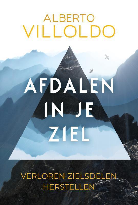Afdalen in je ziel 9789020218596 Alberto Villoldo, Boeken, Esoterie en Spiritualiteit, Gelezen, Verzenden