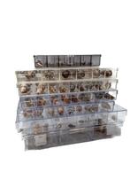 Collection étendue de cônes avec des raretés ***GEM***, Nieuw