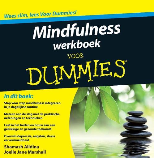 Voor Dummies - Mindfulness werkboek voor Dummies, Boeken, Psychologie, Zo goed als nieuw, Verzenden
