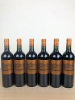 2020 Château dIssan - Bordeaux, Margaux Grand Cru Classé -, Verzamelen, Nieuw