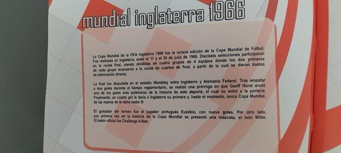 1966 industria argentina Bobby Charlton Eusebio Original, Verzamelen, Stickers