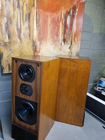 Bower & Wilkins - DM2 Serie 2 Luidsprekerset