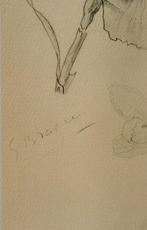 Georges Braque (1882-1963) - Les Iris