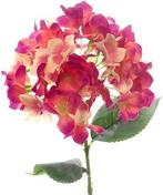 Hortensia Hydrangea Beauty Zijdenbloem Single 45 cm, Nieuw