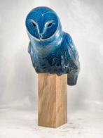 Federico Alibrio - Blue Barn owl