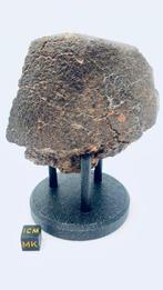 Niet-geclassificeerde NWA meteoriet Chondrite meteoriet -, Verzamelen, Mineralen en Fossielen