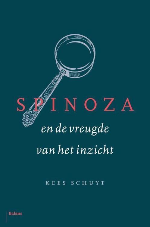 Spinoza en de vreugde van het inzicht 9789460034060, Boeken, Geschiedenis | Wereld, Zo goed als nieuw, Verzenden