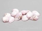 Tiger Chippy schelpen roze, 500 gram, Nieuw