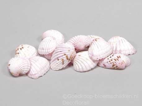 Tiger Chippy schelpen roze, 500 gram, Hobby & Loisirs créatifs, Bricolage