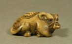 Katabori netsuke van een buffel - Staghorn - Japan - Edo, Antiek en Kunst, Antiek | Overige Antiek