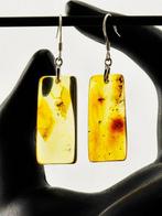 Luxe Amber Oorbellen – Oudste Baltische Hars met Vliegen-,