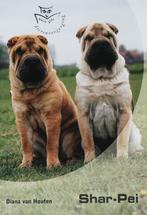 Shar-Pei / Basisgids dierenverzorging 9789058411273, Verzenden, Gelezen, D. van Houten