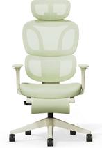 FLEXISPOT Ergonomische Stoel met Wolkachtige Kussen - Licht, Verzenden, Nieuw