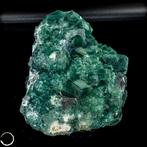 Natuurlijke blauwgroene fluorietkristallen over Matrix-, Verzamelen