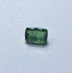 1 pcs Vert Tourmaline - 4.72 ct - Instituto Gemólogico, Nieuw