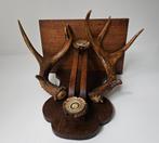 Wanddecoratie - Antiek console met edelhert gewei -