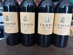 2022 Tempo dAngelus - Bordeaux - 4 Magnums (1.5L), Nieuw