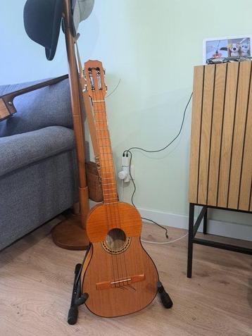 Carora - Cuatro venezolano - - Muziekinstrumenten - Spanje - beschikbaar voor biedingen
