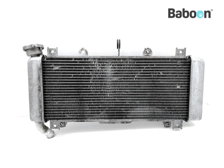 Radiateur Kawasaki Ninja 650 2017-2019 (EX650J-K), Motoren, Onderdelen | Kawasaki, Gebruikt, Verzenden