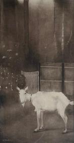 Jan Mankes (1889-1920) - Oude geit, Antiek en Kunst