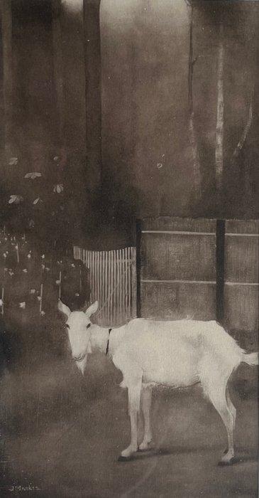 Jan Mankes (1889-1920) - Oude geit, Antiek en Kunst, Antiek | Overige Antiek